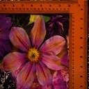 Print On Silk Crepe Fabric