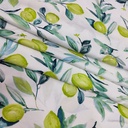 50D Satin Print #202201
