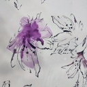 50D Satin Print #202206