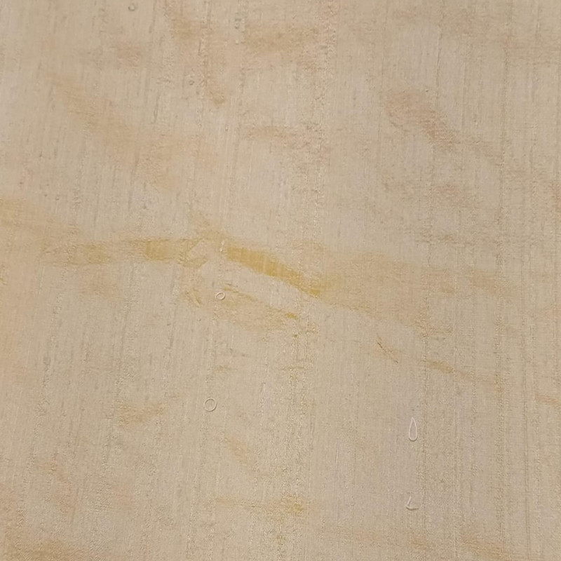 Raw Silk Dupion Woven Fabric RS04