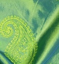 Paisley Prints On Embroidered Taffeta