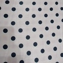 Polka Dot Print On Sandwash Satin