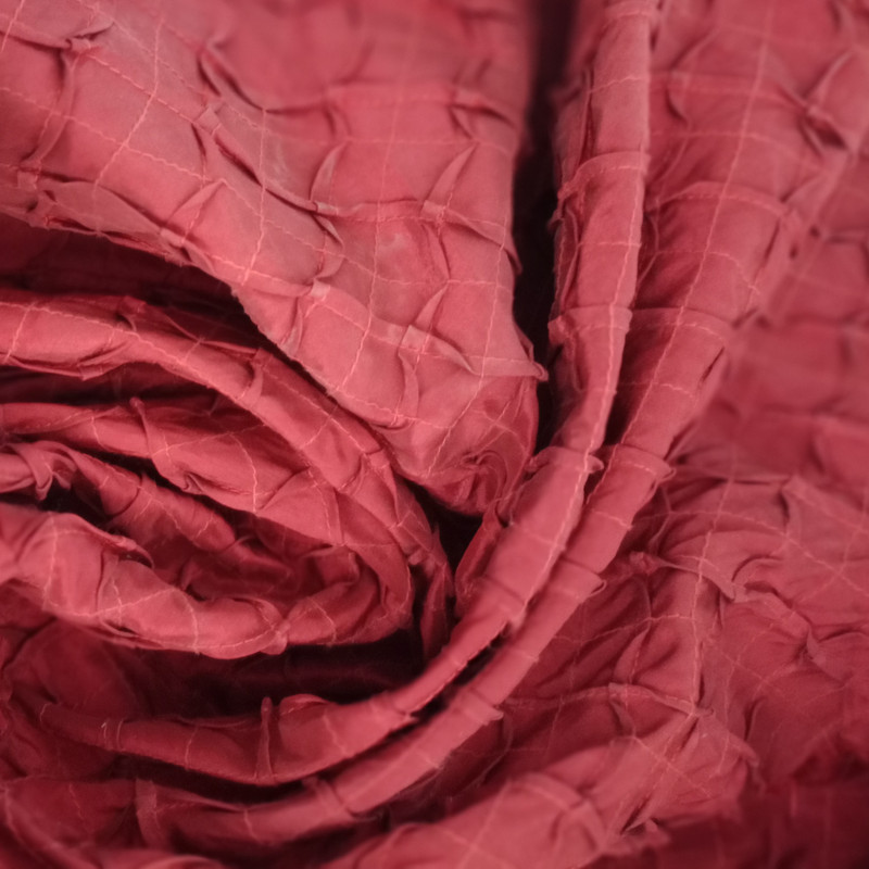 Prints On Embroidered Taffeta ETPS13