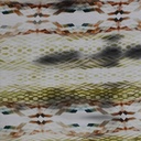 Brown Snake Skin Print On Twill Satin TPB72 (PA03C#1)
