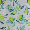 Lemon Print On Royal Georgette SS22L-RGPL47