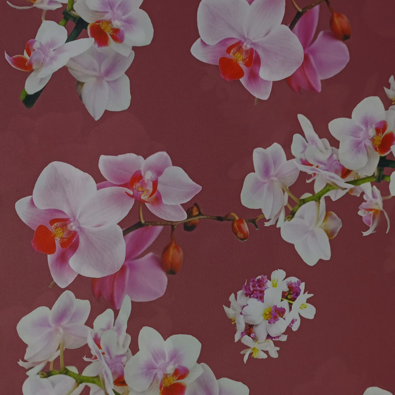 Royal Georgette Brown Base Floral Print SS22N RGPB09