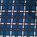 Blue Check Print On Twill Satin (SS24) TSPS04