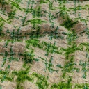 AGT-HNL-43 (Off White Green) Tweed
