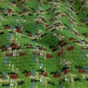 AGT-HNL-74 (Light Green + Maroon) Tweed
