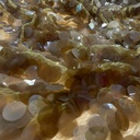 Gola Sequins (Gold Big)