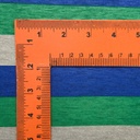 Stripes(Blue & Green) Print On Viscose Knitted Fabric