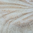 White Cotton Lace Fabric#10
