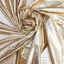 Fhataka Metallic Fabric