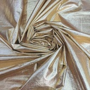 Fhataka Metallic Fabric