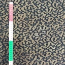 Clip Jacquard Dyed Fabric(#10)