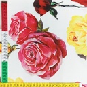 Air Flow Printed Dyed Fabric (Floral #2)