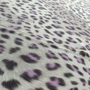 Purple Black Leopard Print On Micro Waffle