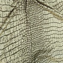 Babycorn Python (Yellow) Print On Silky Satin Fabric