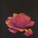 Bloom And Grace Print On Snake Crepe Fabric