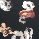Black And Bloom Print On Barbie/Banana Crepe