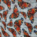 Chiffon Lurex White Stripe Dragonfly Print