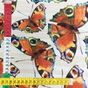 Chiffon Lurex White Stripe Dragonfly Print