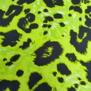 Print On Silky Satin Fabric#10