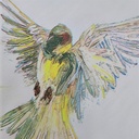 Print On Silky Satin Fabric#86