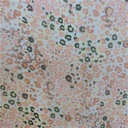 Print On Poly Flat Chiffon Woven Fabric#05