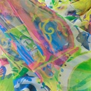 Print On Poly Flat Chiffon Woven Fabric#06
