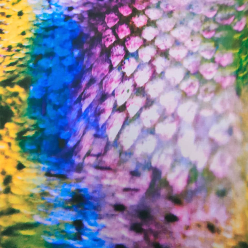 Print On Poly Flat Chiffon Woven Fabric#42