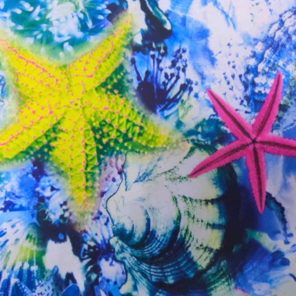 Print On Poly Flat Chiffon Woven Fabric#56