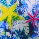 Print On Poly Flat Chiffon Woven Fabric#56