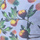 Print On Poly Flat Chiffon Woven Fabric#79