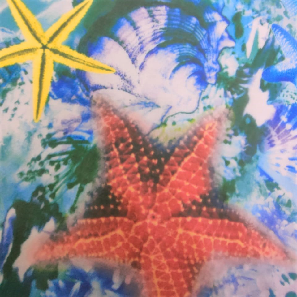 Print On Poly Flat Chiffon Woven Fabric#88