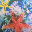 Print On Poly Flat Chiffon Woven Fabric#88