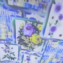Print On Poly Flat Chiffon Woven Fabric#92