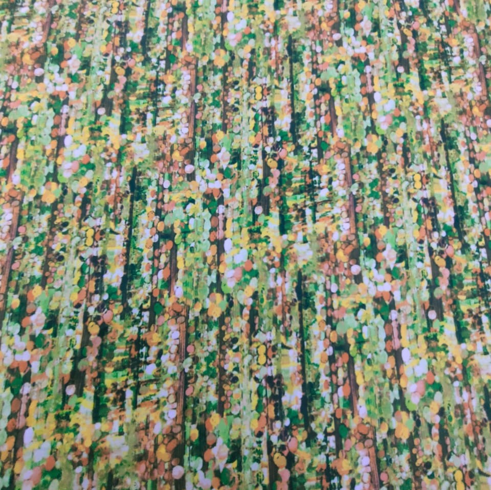 Print On Poly Flat Chiffon Woven Fabric#117