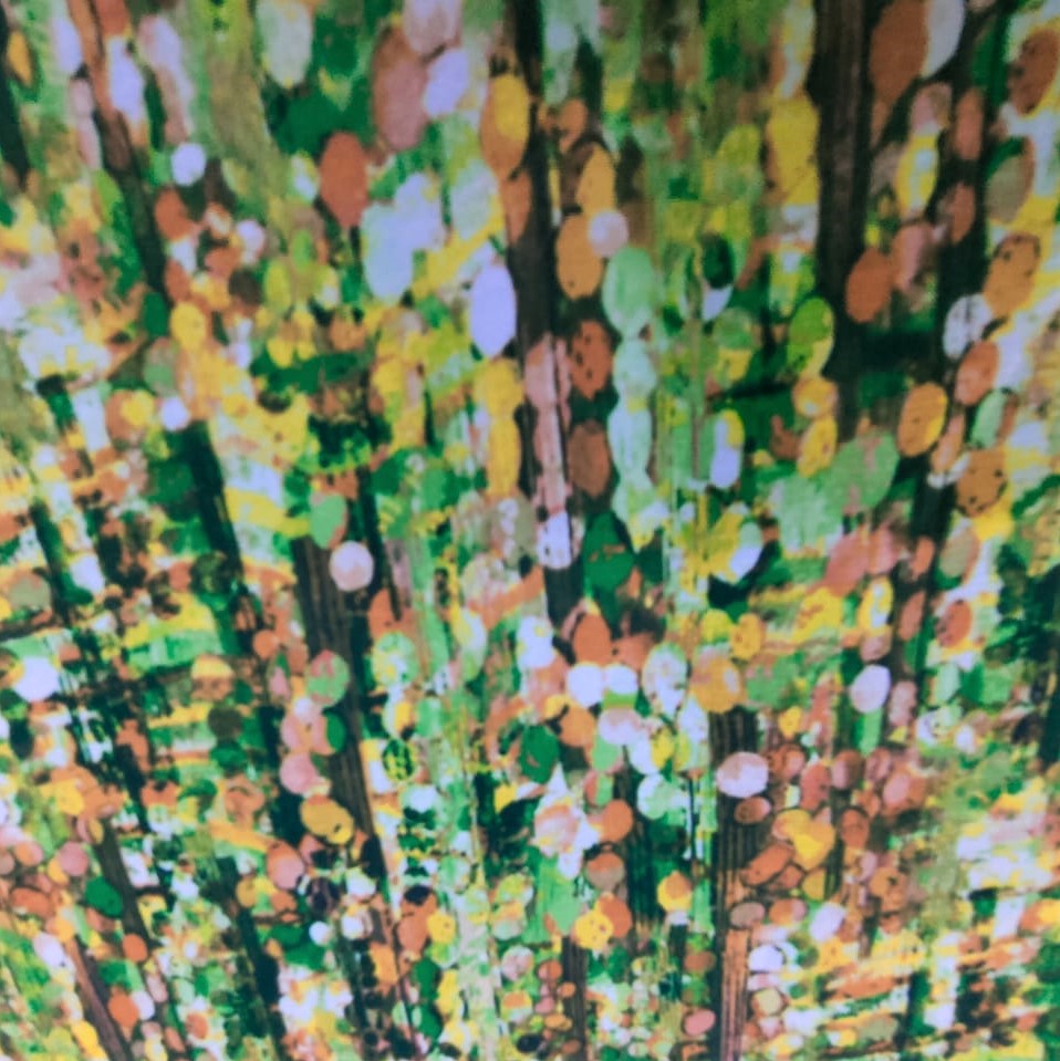 Print On Poly Flat Chiffon Woven Fabric#117