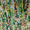 Print On Poly Flat Chiffon Woven Fabric#117