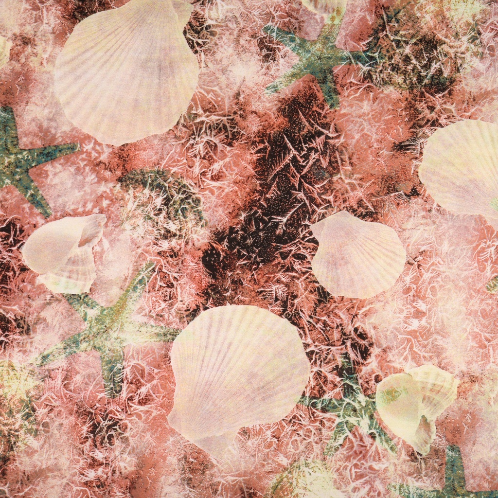 Print On French Rayon Dyed Fabric