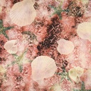 Print On French Rayon Dyed Fabric