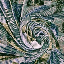 Multicolor Printed Velvet Brasso Fabric