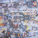 Print On Silk Chiffon#152