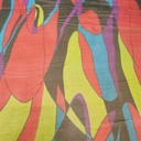 Print On Silk Georgette