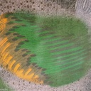 Print On Silk Georgette#03