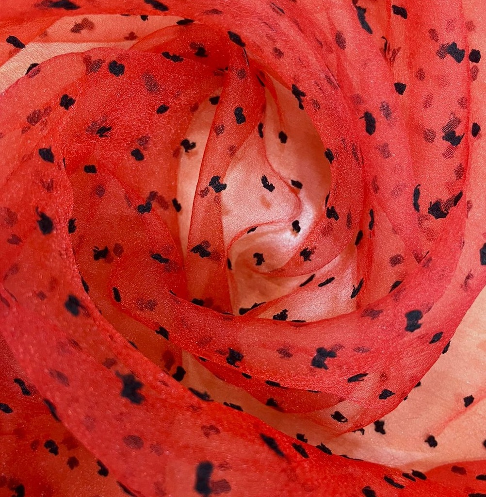 Madonna Organza Dyed Fabric (Two tone)(Black on Red 21)
