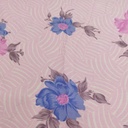 Light Pink & Blue Floral Print On Georgette