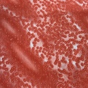 Print On Poly Crinckle Crepe (SS25) FFFS23