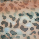 Print On Flat Chiffon FCPS57